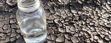 Води дедалі менше: Одещина — серед регіонів, які першими можуть постраждати