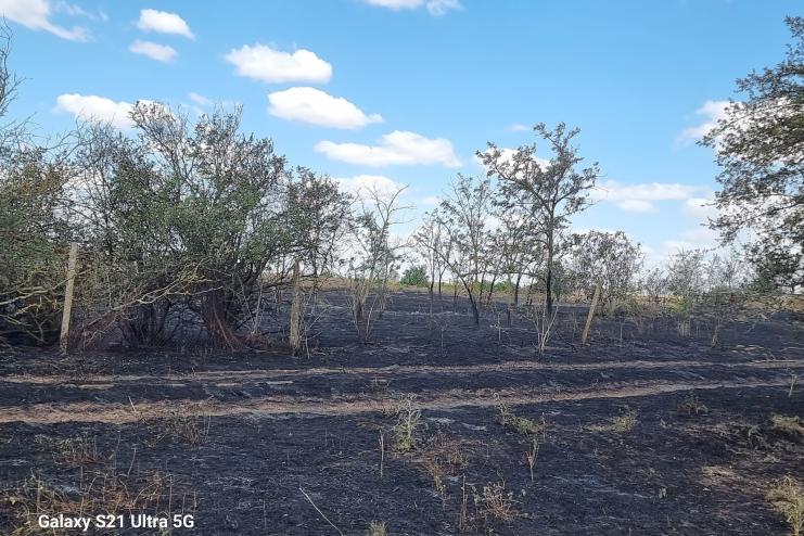 Дві пожежі сколихнули громаду в Білгород-Дністровському районі