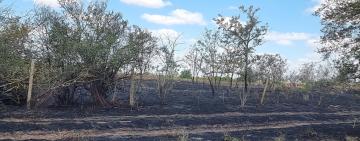 Дві пожежі сколихнули громаду в Білгород-Дністровському районі