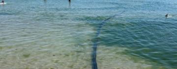 В Одесі перевіряють інформацію про можливе забруднення моря в Аркадії