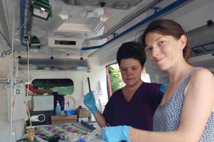 У Арцизі французькі ветеринари стерилізували понад сотню котів і собак за шість днів 