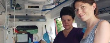 У Арцизі французькі ветеринари стерилізували понад сотню котів і собак за шість днів 