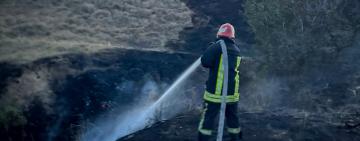 На Одещині — тривожна доба: через пожежі сухої рослинності постраждало 6 людей, серед них дитина