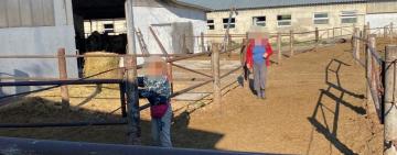 Рабство на півдні: на Одещині викрито схему трудової експлуатації, до якої залучили безхатьків