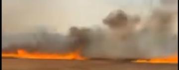 Масштабна пожежа охопила майже 400 гектарів на Одещині: знищено пасовища, лісосмуги, врожай і житловий будинок