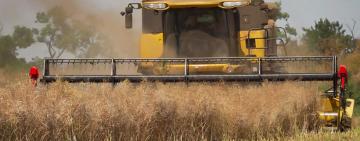 На Болградщині завершили слідство у справі про мільйонне ухилення від сплати податків: підприємство вже відшкодувало збитки