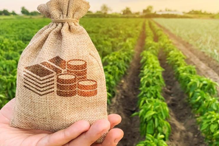 Аграрії Одещини активно користуються програмою «Доступні кредити 5-7-9%» — 2,5 мільярда гривень за півроку