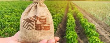 Аграрії Одещини активно користуються програмою «Доступні кредити 5-7-9%» — 2,5 мільярда гривень за півроку