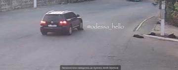 Наїхав на собаку й утік: на Одещині водія притягнули до відповідальності за жорстоке поводження на дорозі