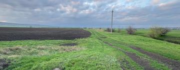 На Болградщині чоловік незаконно засіяв землю вздовж річки Когильник — йому загрожує до двох років ув’язнення