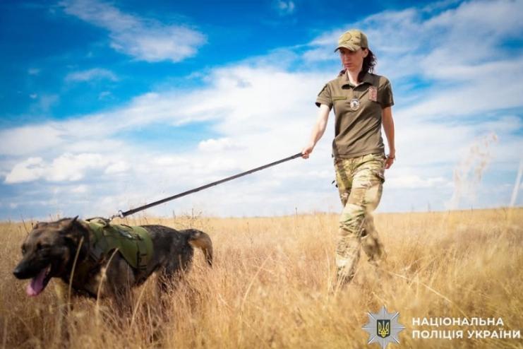 На Одещині службова вівчарка Ельза допомогла врятувати життя пенсіонеру