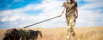 На Одещині службова вівчарка Ельза допомогла врятувати життя пенсіонеру