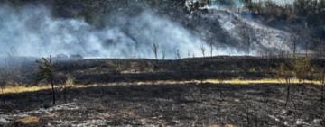 За минулий тиждень на Одещині згоріло 200 ГА землі 