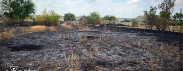 У Білоліссі через спалювання сухостою ледь не сталася масштабна пожежа