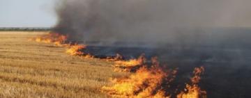 Бессарабія в диму: стерню палять, відповідальних не видно