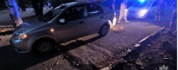 В Одесі легковик на смерть збив собаку: водія притягнули до адмінвідповідальності