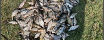 Незаконний вилов: мешканець Болградського району має сплатити понад 300 тисяч гривень збитків