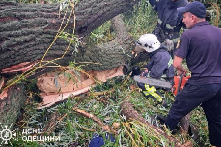 У Балті дерево впало на намет із підлітками: одна дитина загинула, четверо – в лікарні 