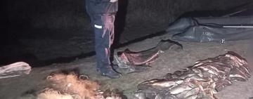 Суд покарав браконьєра з Білгород-Дністровського району за вилов риби в межах нацпарку «Тузлівські лимани» 