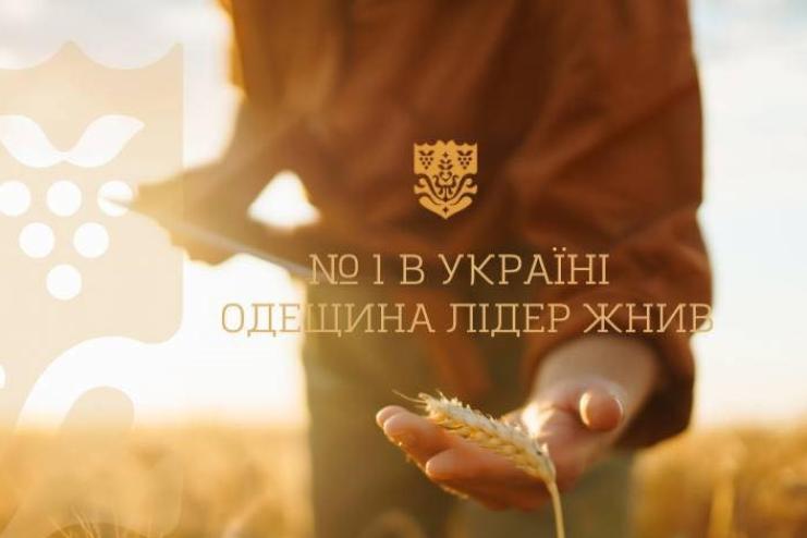 Аграрний форпост України: Одещина завершила жнива з найкращим результатом