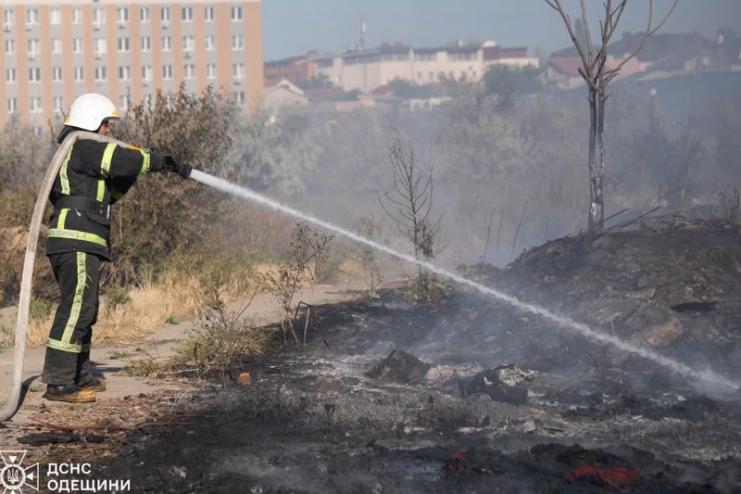 Понад 27 мільярдів гривень збитків: екопожежі знищують природу України 