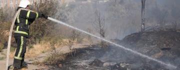 Понад 27 мільярдів гривень збитків: екопожежі знищують природу України 