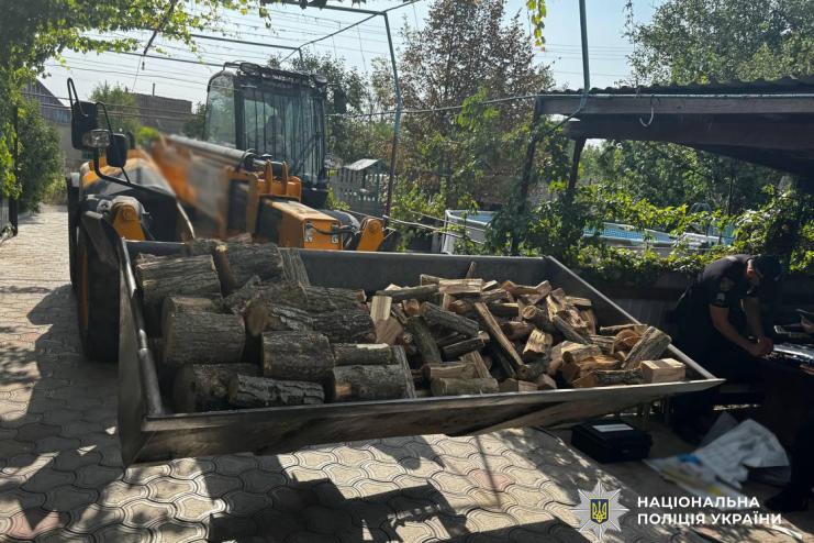 «Пиляли, поки не спіймали»: у Саратській громаді викрили злочинну вирубку дерев на понад 600 тисяч гривень