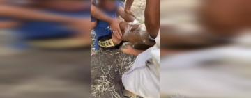 На Одещині поліція розслідує жорстоке катування підлітка: хлопця зв'язали та знущалися на камеру