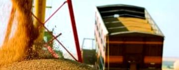 Перевізникам зерна: нічні рейси в Одеській області — лише за перепустками