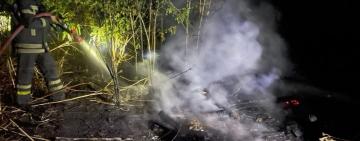 Пожежі в екосистемах Одещини: збитки перевищили 29 мільярдів гривень 