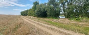 На Одещині чоловік самовільно розорав землю прибережної смуги: суд виніс вирок