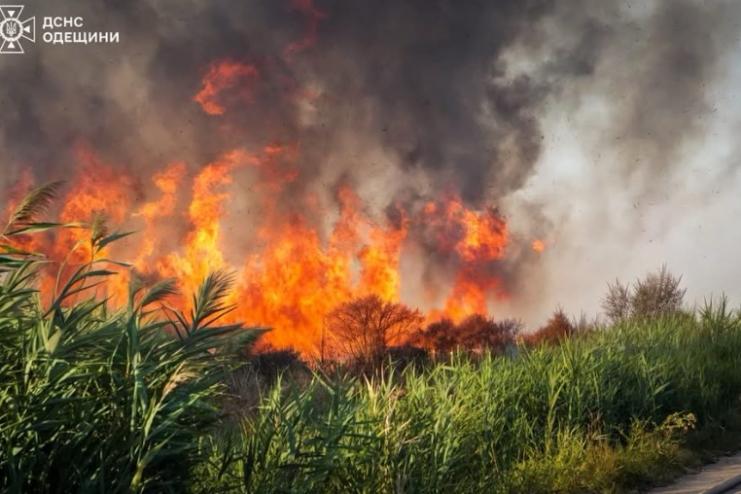 В Одесі ліквідували масштабну пожежу очерету
