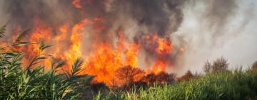 В Одесі ліквідували масштабну пожежу очерету