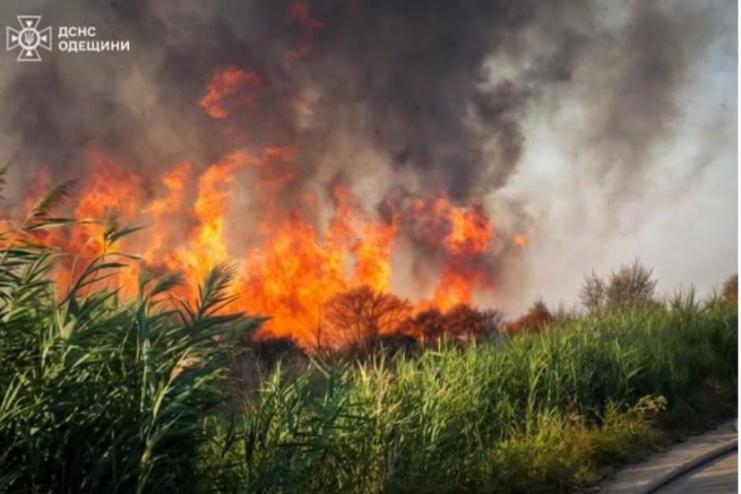 Внаслідок пожежі на Хаджибейській дорозі в атмосферу потрапили понад шість тисяч тонн забруднювальних речовин