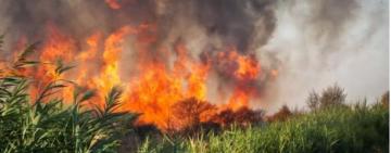 Внаслідок пожежі на Хаджибейській дорозі в атмосферу потрапили понад шість тисяч тонн забруднювальних речовин