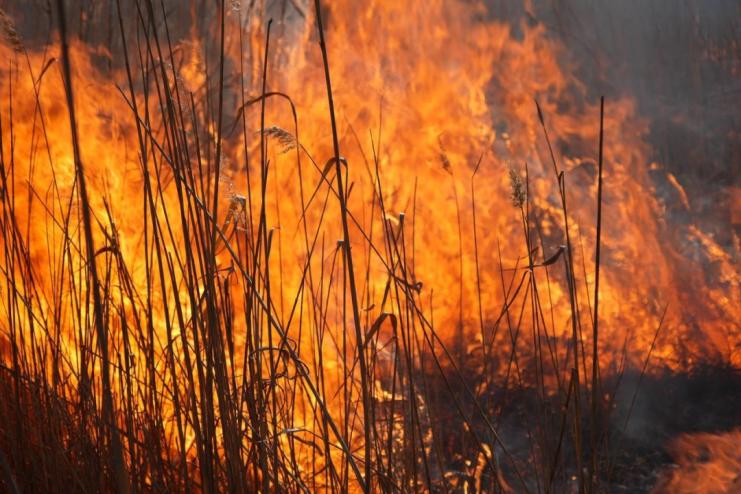 Внаслідок пожежі на Болградщині одна людина загинула