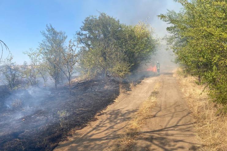 Чергова пожежа під Арцизом: як гасили вогонь за районом Дем’яна Бідного