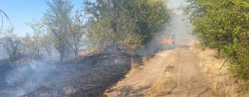 Чергова пожежа під Арцизом: як гасили вогонь за районом Дем’яна Бідного