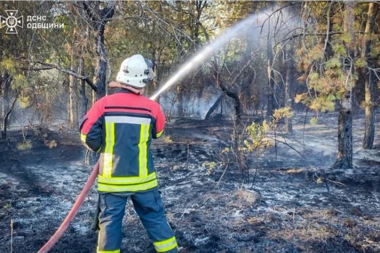 30 мільярдів збитків: в Україні продовжують палити траву та сміття