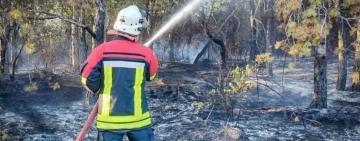 30 мільярдів збитків: в Україні продовжують палити траву та сміття