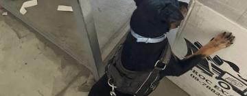 Службовий пес одеських митників допоміг виявити пів кілограма синтетичних наркотиків А-PVР