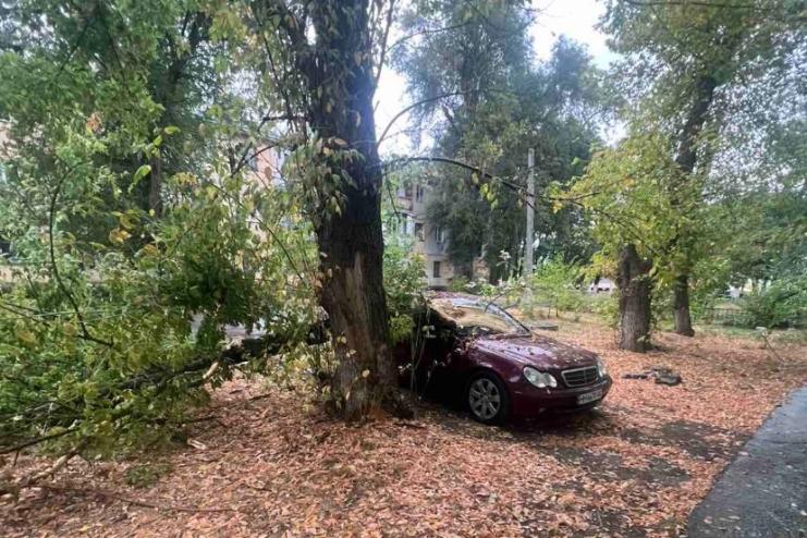 В Арцизі-2 небезпечне дерево впало на автомобіль: мешканці б’ють на сполох 