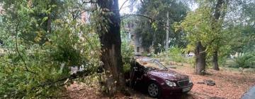 В Арцизі-2 небезпечне дерево впало на автомобіль: мешканці б’ють на сполох 