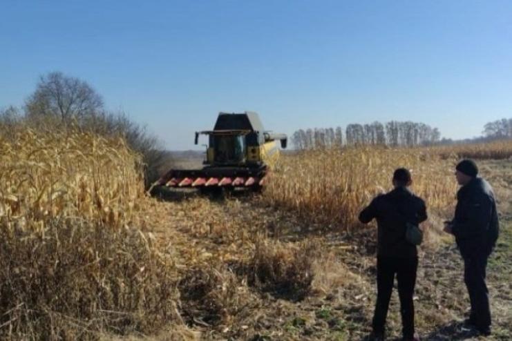 У Кілійській громаді під час жнив виявили тіло чоловіка