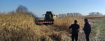 У Кілійській громаді під час жнив виявили тіло чоловіка