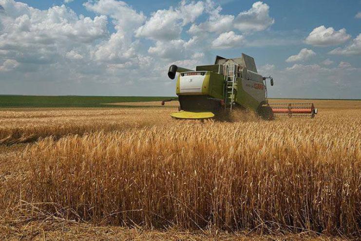 Одеська область – лідер зернового врожаю в Україні