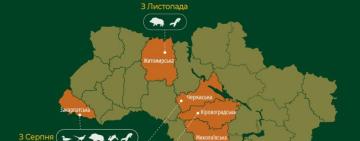 ОВА розглядає можливість  відкриття полювання з листопада на хижаків та копитних