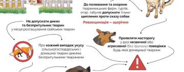 На Одещині різко зросла кількість постраждалих від укусів тварин
