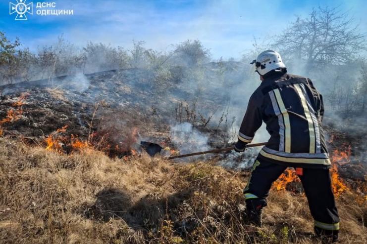 Пожежі в екосистемі: людська байдужість, яка коштує мільярди