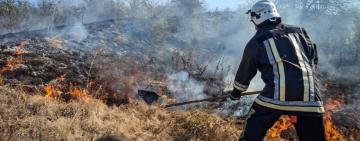 Пожежі в екосистемі: людська байдужість, яка коштує мільярди